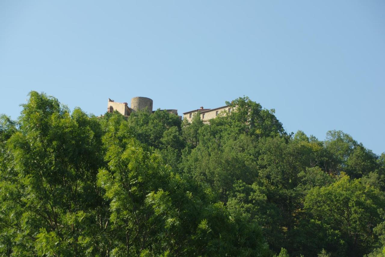 Tres Vents Del Roser - Grand Appartement Prats-de-Mollo-la-Preste Exteriér fotografie